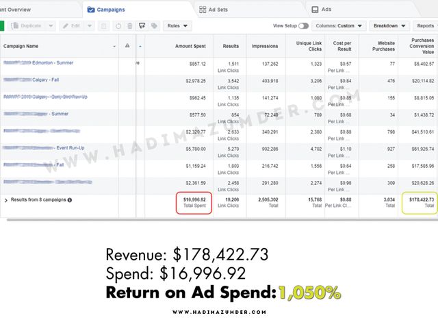Facebook Ads — $16,996 spend, $178,422 revenue, 1,050% ROAS